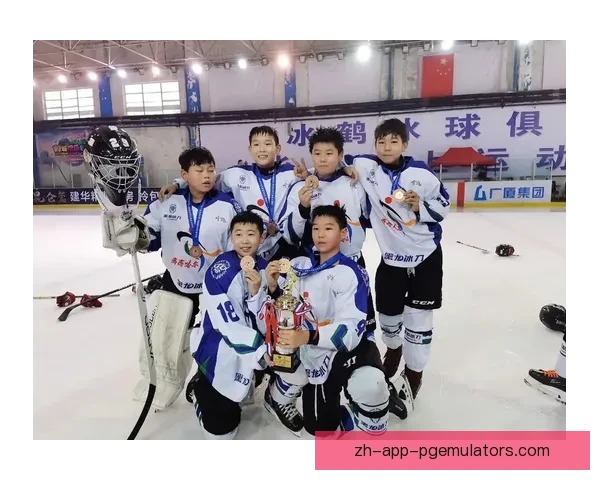 2023冰球赛程分析及预测：谁将成为冠军呢？