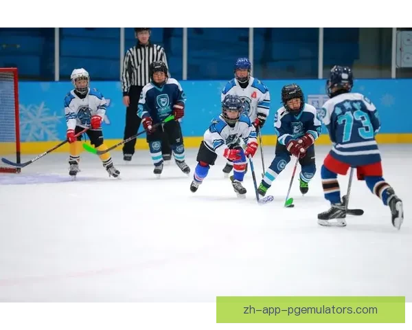 2022冰球赛程全覆盖：精彩对决抢先看