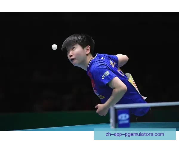 乒乓球杯赛：全球顶尖球手齐聚，激情比拼赢得荣耀