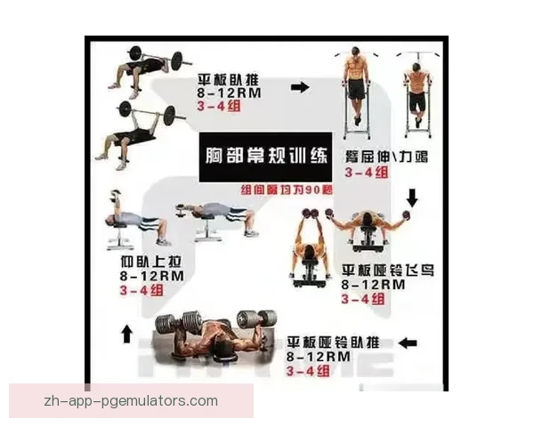 健身入门:打造健康身体的完整指南 健身入门:打造健康身体的完整指南