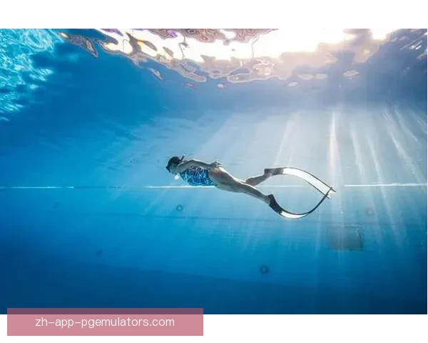 专业跳水教学视频分享让您轻松掌握技巧 专业跳水教学视频分享让您轻松掌握技巧