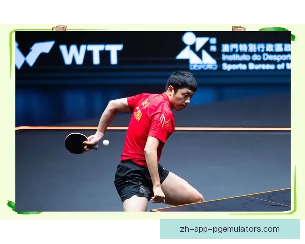 乒乓球赛事分析与预测技巧分享