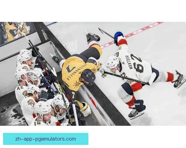 冰球世界纪录大揭秘：创造历史的瞬间和壮举