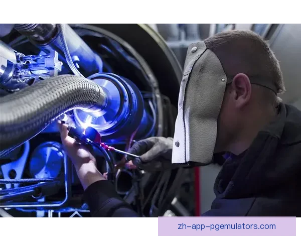 射击世界纪录大揭秘：击中目标的神奇技艺