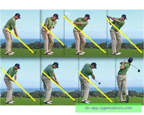 学习高尔夫技巧，提升球技水平