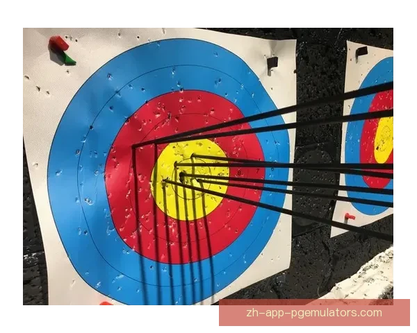 射箭高手角逐：锦标赛风云