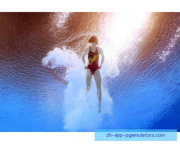 探索跳水比赛数据：技巧、得分与表现的关联性