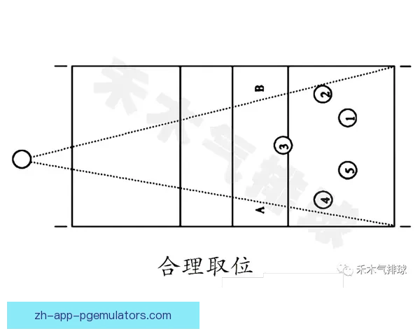 提升排球水平的十大实用技巧