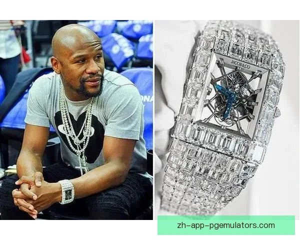 擂台风云：拳击巨星的辉煌之路