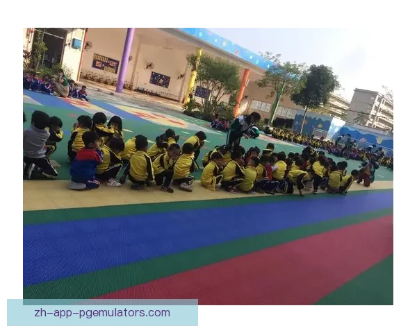 攀岩盘口分析:技术要领与安全预防探讨 攀岩盘口分析:技术要领与安全预防探讨