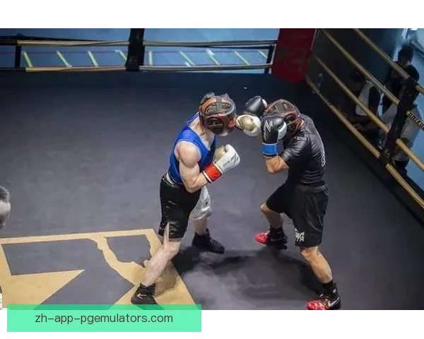搏击巅峰：拳击邀请赛热血对决