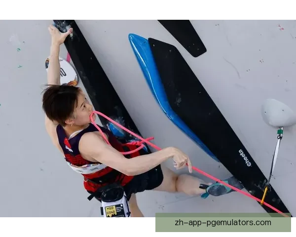 攀岩赛事预测:挑战巅峰,力争上游 攀岩赛事预测:挑战巅峰,力争上游