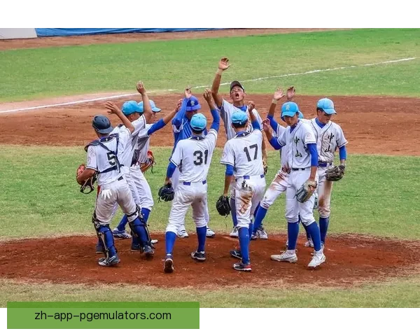 最新棒球积分榜及战绩一览