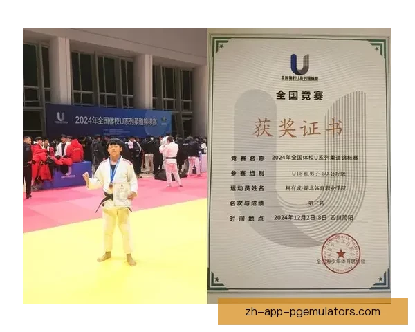 柔道邀请赛：荣誉角逐，技艺较量