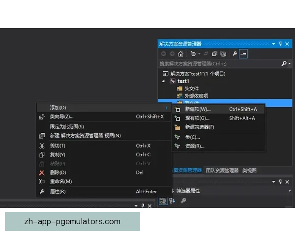 柔道排名解析及技术详解