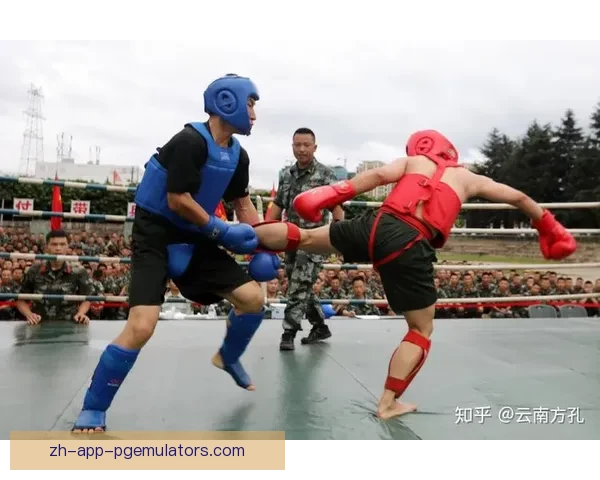 激情搏击：摔跤杯赛壮观绽放