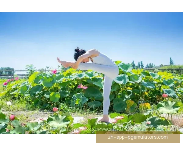 瑜伽界巅峰:最惊人的世界纪录盘点 瑜伽界巅峰:最惊人的世界纪录盘点