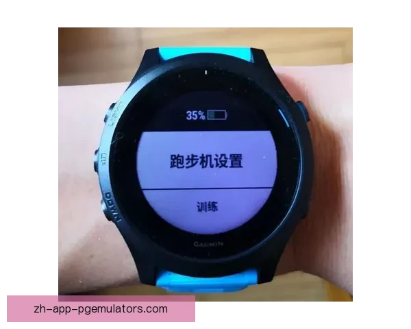 登山高效训练指南:循序渐进,技巧应用 登山高效训练指南:循序渐进,技巧应用