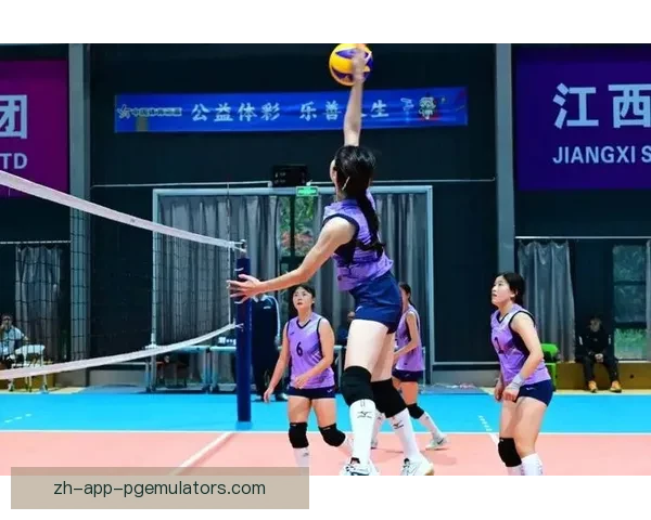 激情碰撞！紧张对决！排球赛事精彩回顾！