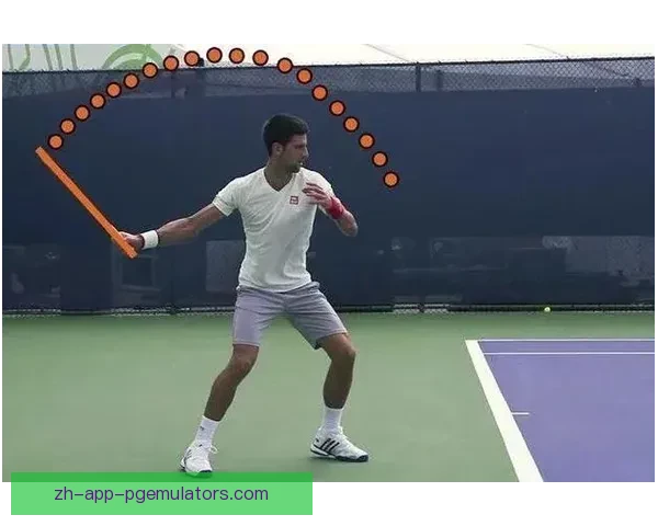 网球初学者必备技巧及注意事项 网球初学者必备技巧及注意事项