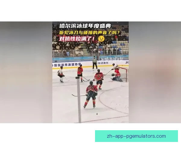 精彩对抗!冰球邀请赛全方位解读 精彩对抗!冰球邀请赛全方位解读