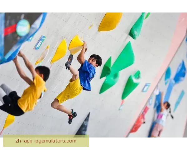 绝壁挑战：攀岩锦标赛的极限竞技