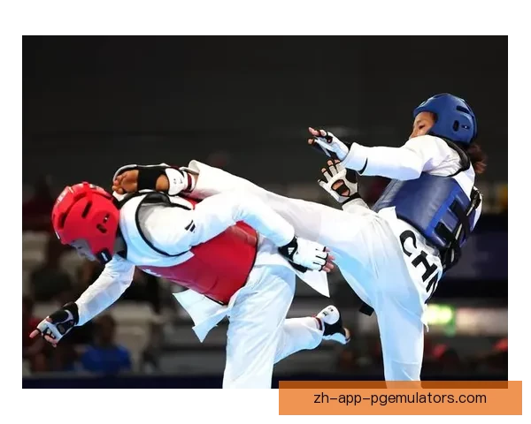 跆拳道比赛精彩对决：谁将夺得冠军？