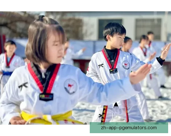 跆拳道对战策略解析及应对技巧分享