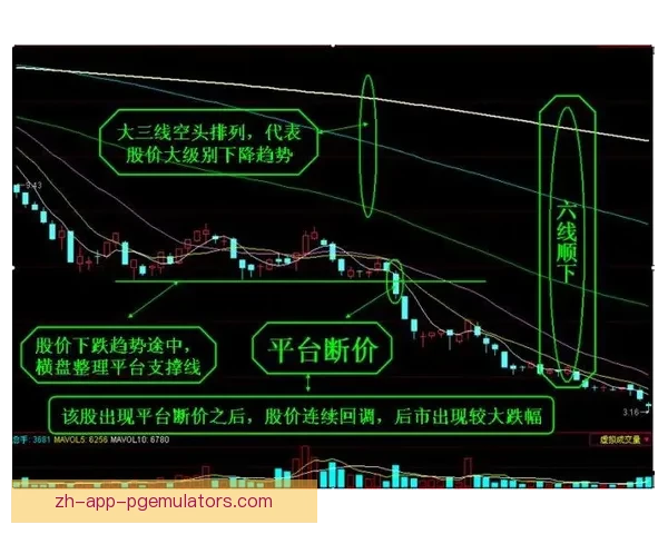 跳水比赛规则详解及技巧指导