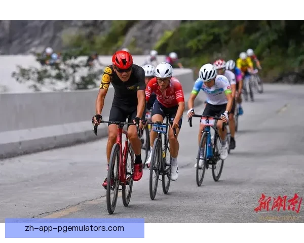 骑行风采：鲜活时刻，速度与激情