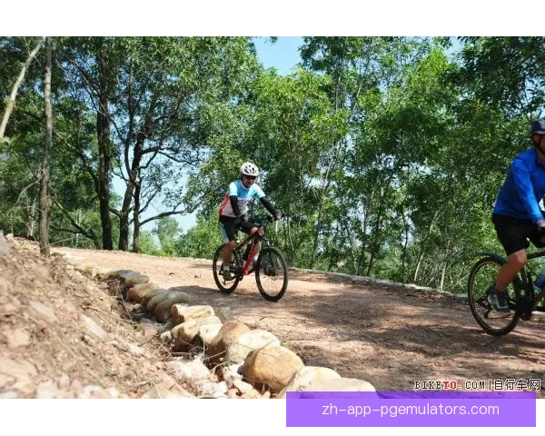 骑行新手如何有效利用自行车训练方法提升体能水平