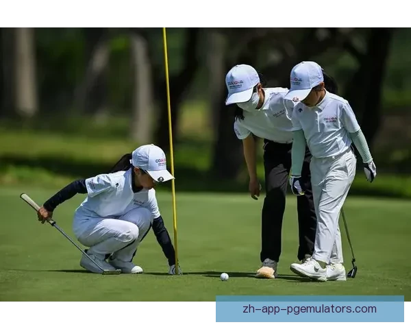 高尔夫赛事预测：即将开启的冲刺阶段需关注的关键动向