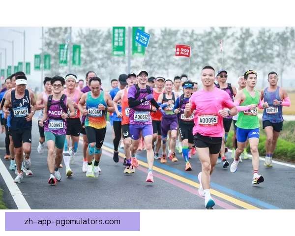 马拉松投注技巧大揭秘 经验分享助您赢取丰厚回报